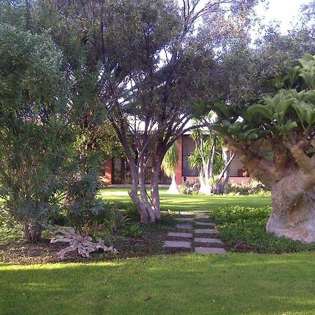 Buschberg Guest Farm Villa Outjo Luaran gambar