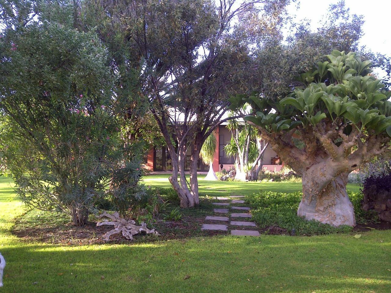 Buschberg Guest Farm Villa Outjo Luaran gambar